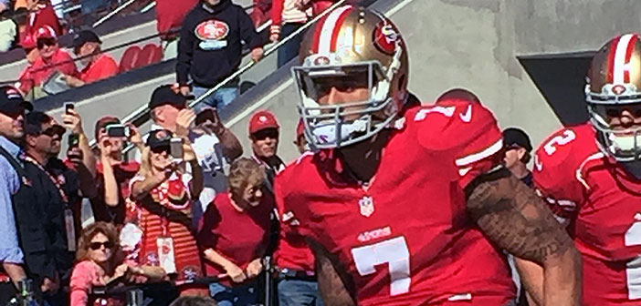 silverlinings-playbook-and san francisco 49ers